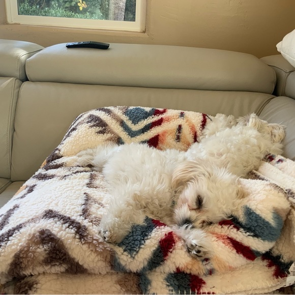 Meet your Posher, Rodica - Picture 13 of 16